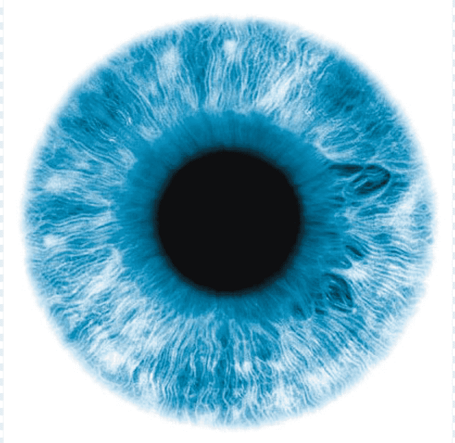 Contact Lens Collection